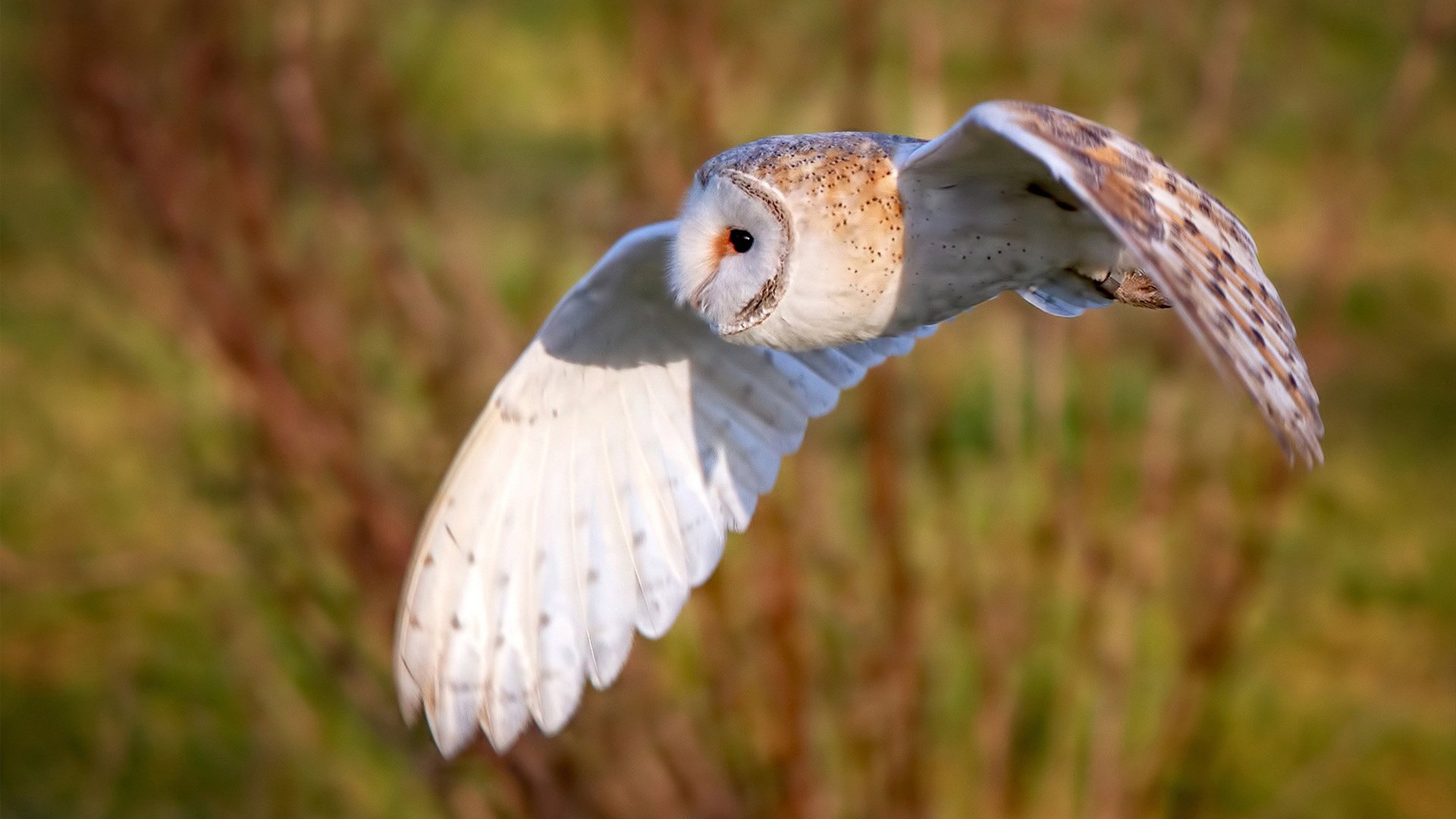 “青春燃烧”全国青少年篮球夏令营在成都盛大举行,青少年篮球训练夏令营