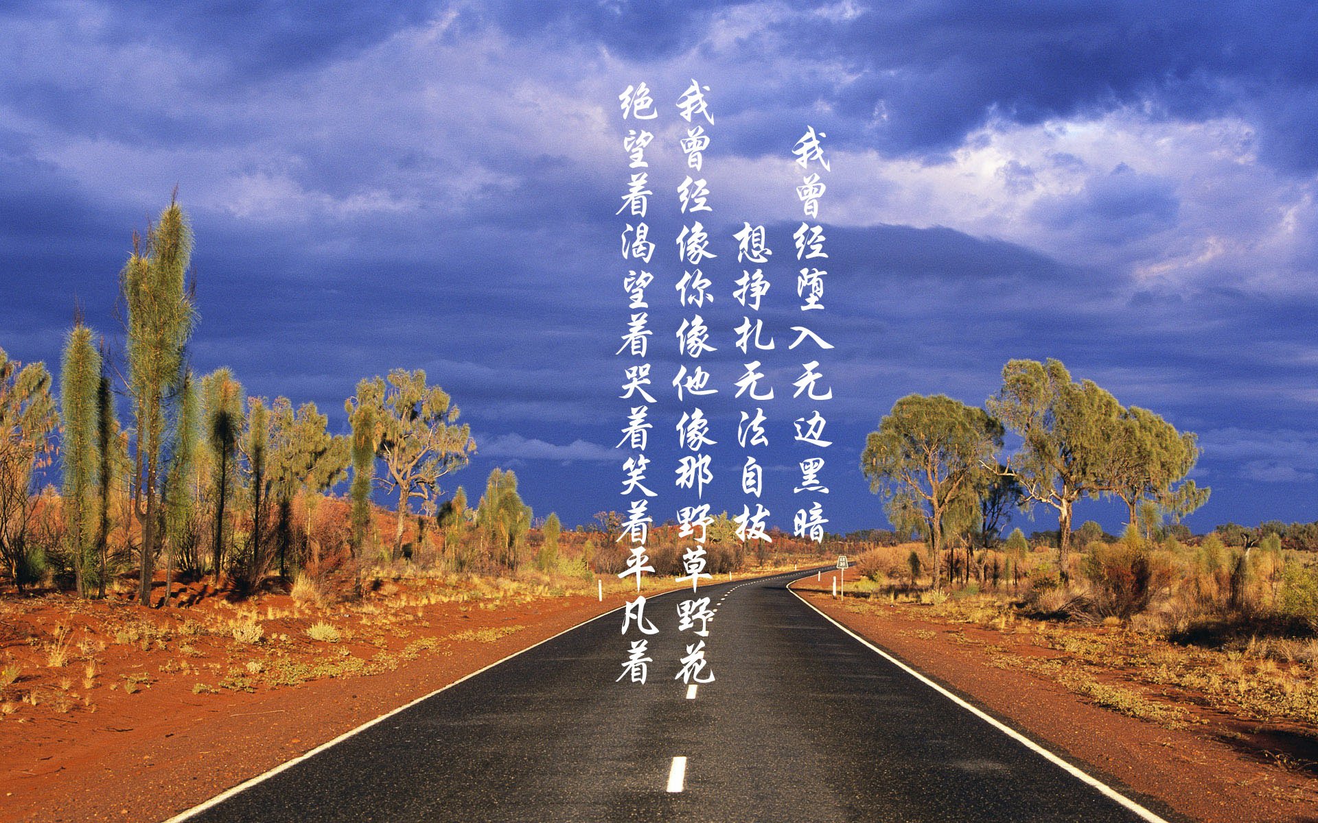 夜空下的星光骑行,浪漫又刺激的运动体验,夜晚骑行的简单说说