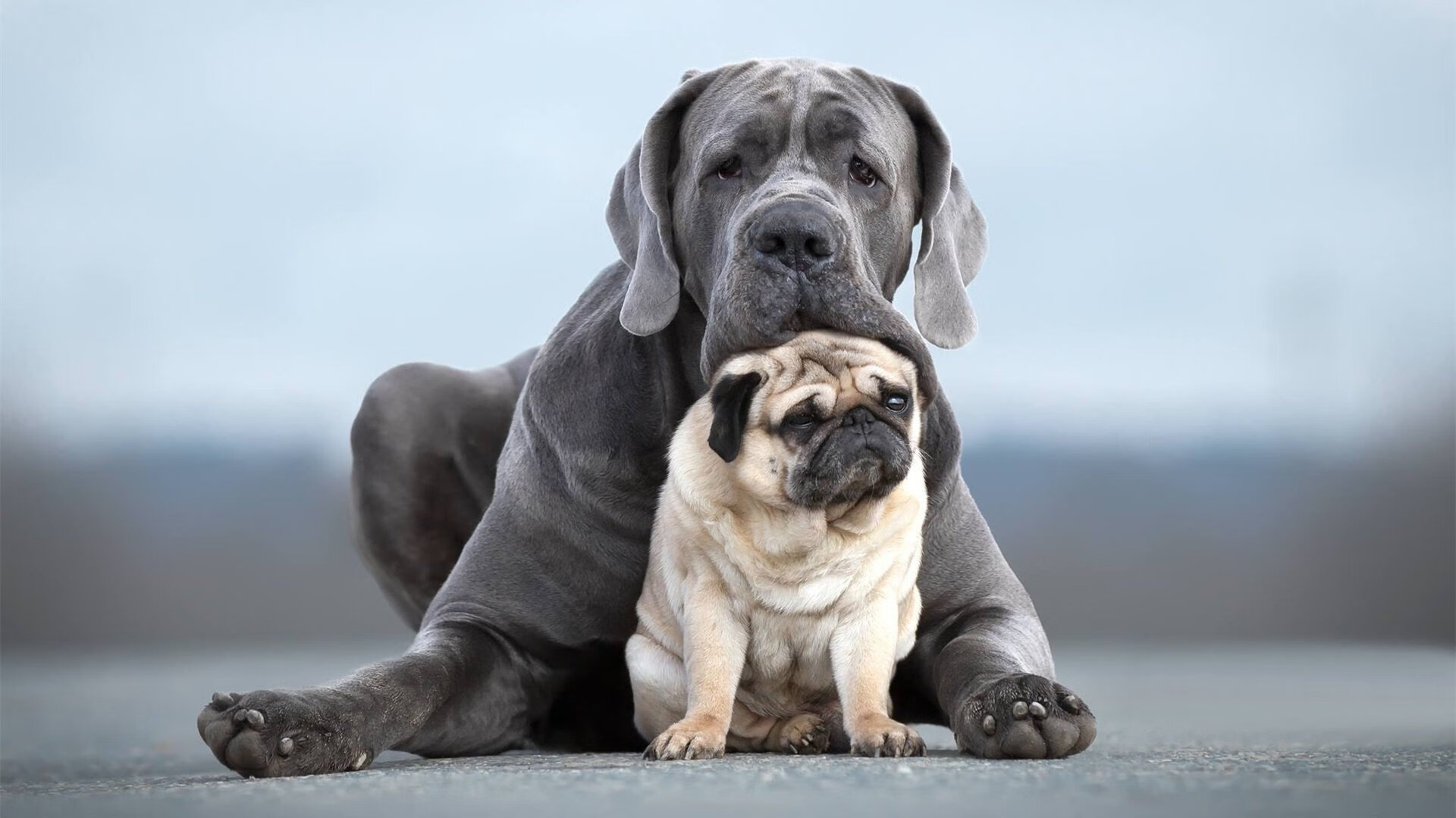 华体会手机在线-克罗地亚队在巴黎奥运会手球比赛中表现出色，赢得多场比赛，克罗地亚国家队赞助