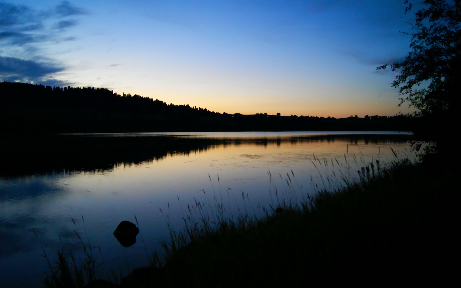 哥伦比亚女足在巴黎奥运会比赛中以3-0战胜美国,奥运会哥伦比亚女射手