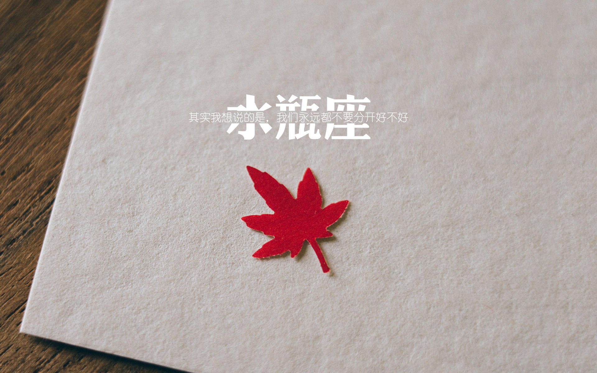 华体会官方网站首页-日本马术协会出版“Sinjska Alka”历史专著，记录赛事发展历程。