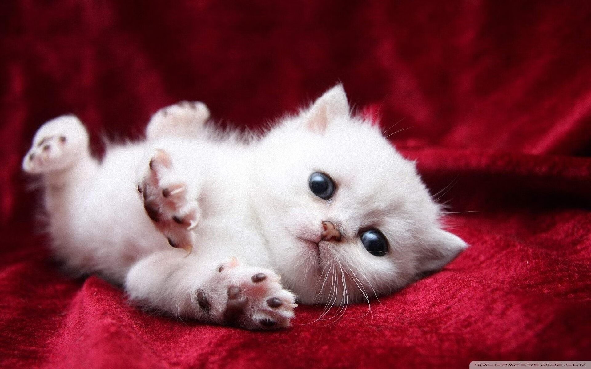 江苏老将带头取胜,铺就胜利之路,开国江苏籍将军名单