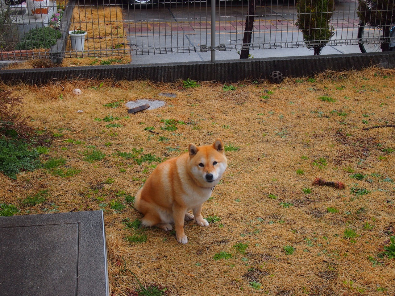 河床年轻球员快速成长,河床队客场球衣