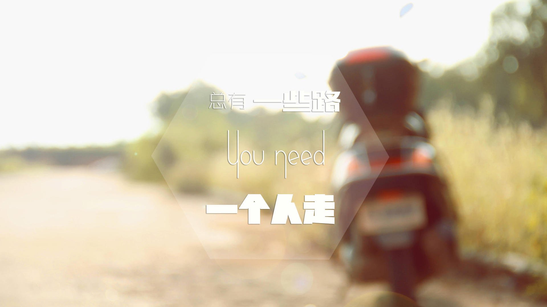 瑞士马术协会推出马匹健康管理系统,提升马匹福利。,瑞典马拉松