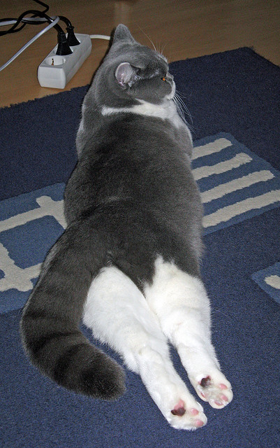 中国足球赛事商业化发展概况,中国足球商业化什么时候开始的