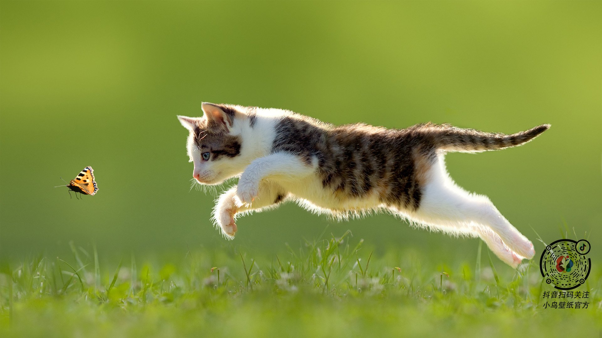 校园体育文化价值观影响研究,校园体育文化的建设与发展