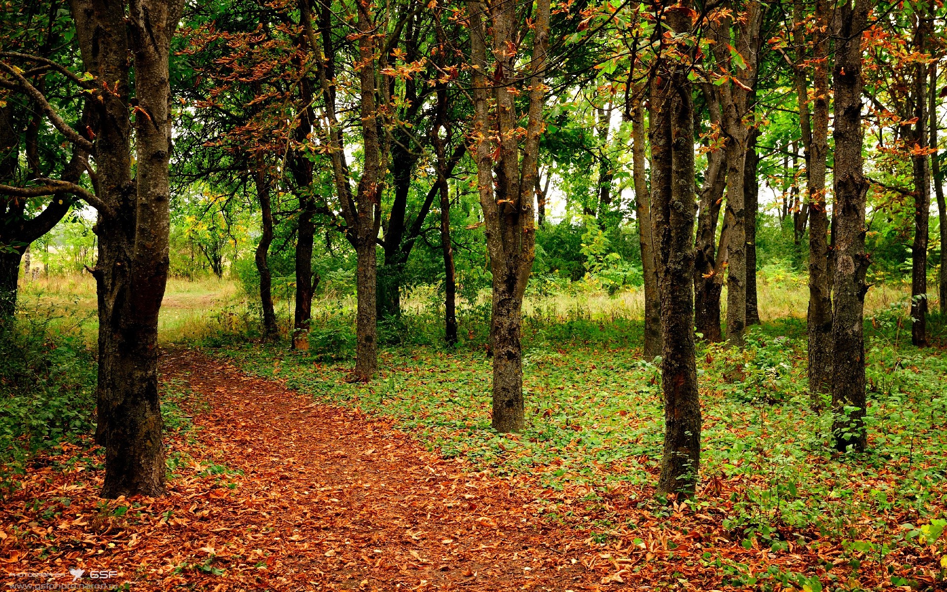 华体会hth在线登录-世界杯预选赛国家队晋级 球迷热情持续高涨，世界杯预选赛入围