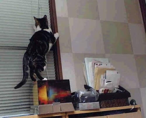 体育新闻中心推动智慧健身平台内容对接工程，智慧体育建设