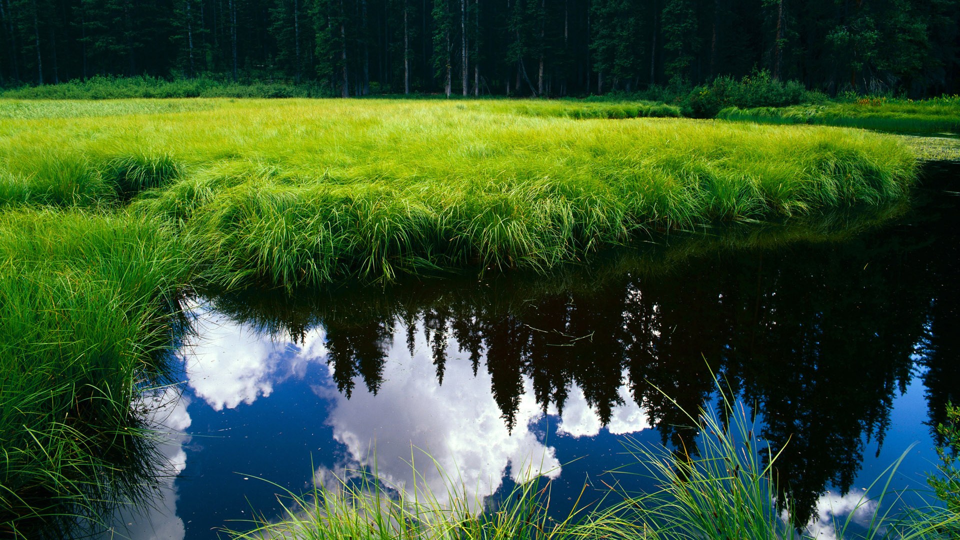 中国女排后备力量正在快速成长,中国女排后备人才集训名单