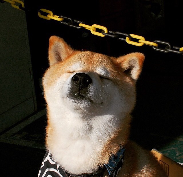 西甲激战再升温:超级对决燃爆全场!,西甲超级杯2020